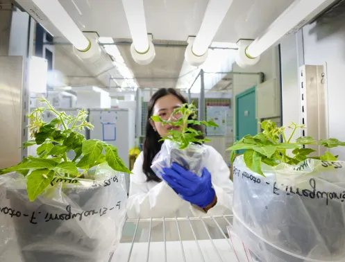 Santé & Environnement