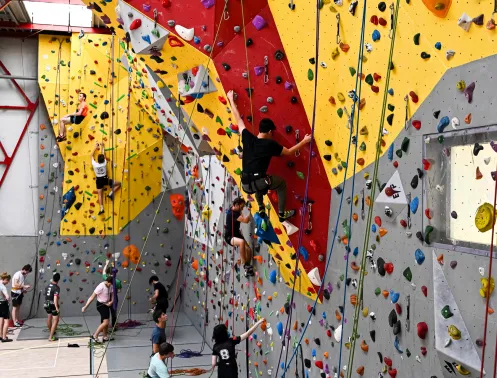 Vue sur les murs d'escalade du gymnase de Centrale Lyon. Le choix de cette image symbolise le programme de bourses de vie soutenu par le mécénat à Centrale Lyon. Grâce à leurs dons, les mécènes contribuent à améliorer la qualité de vie des étudiants en situation de précarité.